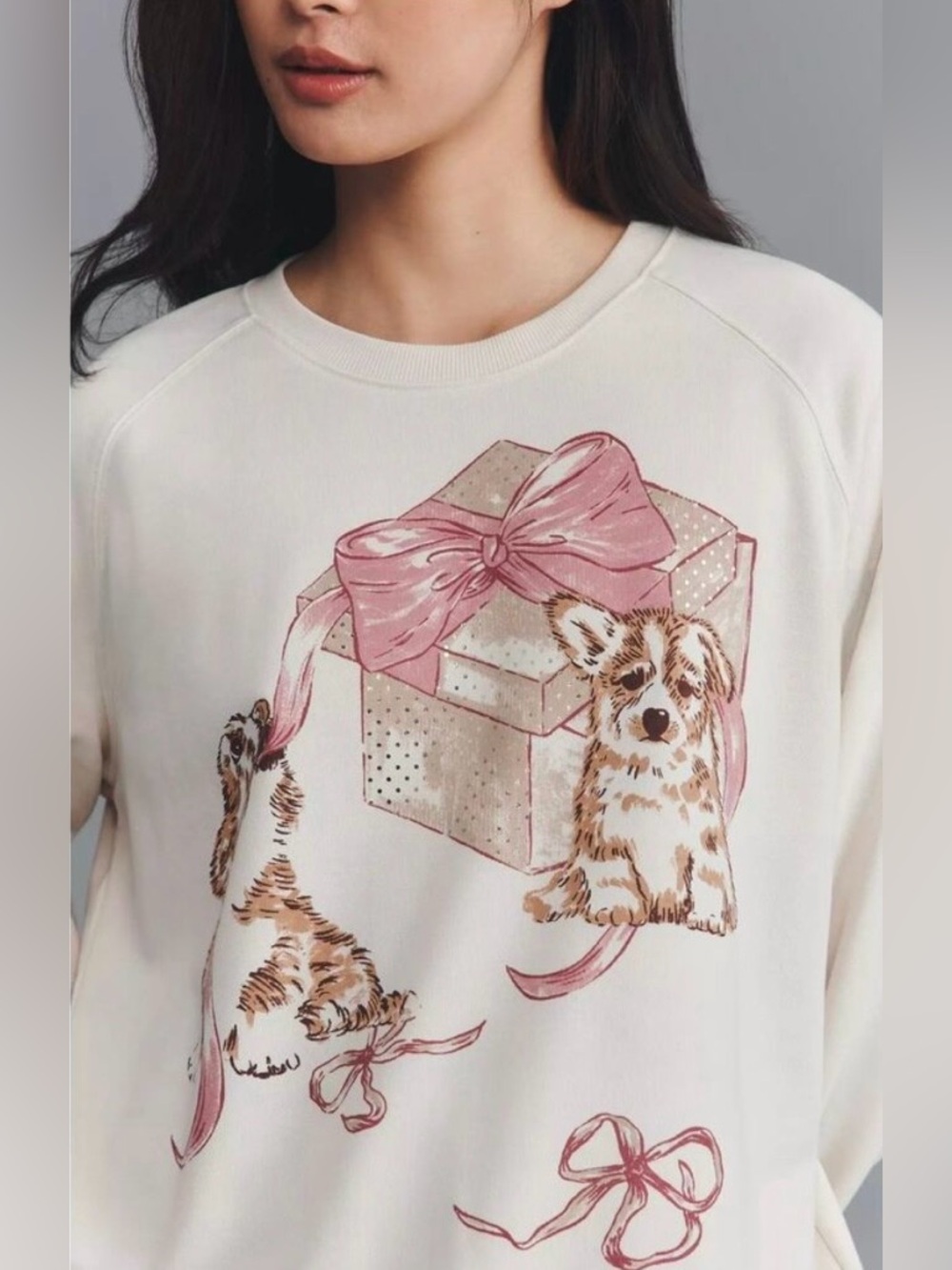 NWT Maeve by Anthropologie Animal Friends Crew Neck Sweatshirt Size Large - Picture 2 of 9